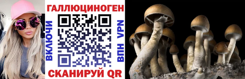 Псилоцибиновые грибы Magic Shrooms  наркота  Соликамск 